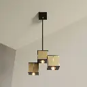 TET-III V56.webp